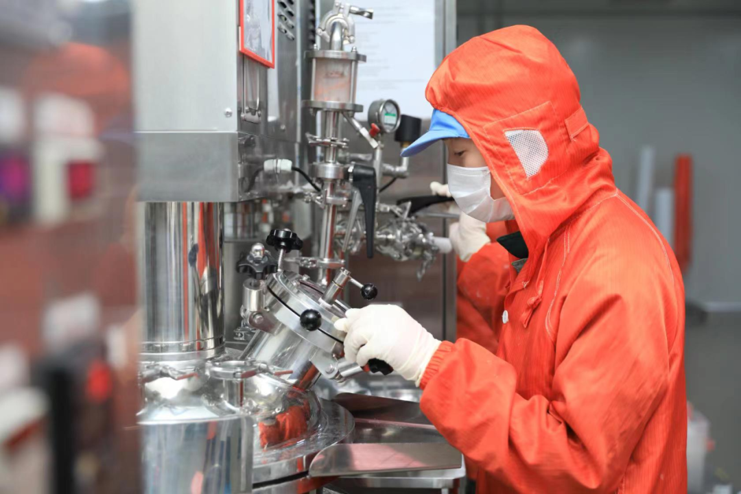 Des gènes de recherche gravés dans les os