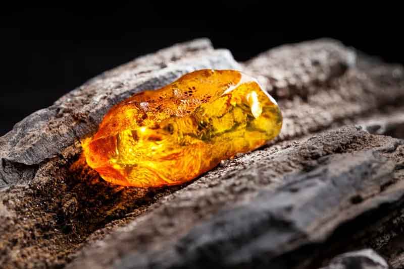 Perfume Wilson: Personnalisation de votre parfum exclusif